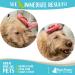 Raw Paws Pet Hand-Held Rubber Tipped Pin Brush for Dogs & Cats - Shedding & Grooming - Suitable for Large & Small Dogs - Short & Long Hair - Buy Online on GoSupps.com