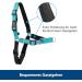 Petsafe Easy Walk Deluxe Harness & 1.8m Leash - Tear-Resistant Dog Running Gear | Small Ocean Blue/Black - Buy Online on GoSupps.com