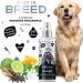 BUGALUGS Dog perfume Breed dog deodorant spray with a Distinctive dog perfume spray fragrance long lasting dog spray for smelly dogs. Essential dog cologne grooming products for dogs 200ml 199 ml (Pack of 1) - Buy Online on GoSupps.com