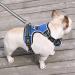 Shop Heele Adjustable No-Pull Dog Harness - Breathable & Reflective - Small Dog Harness (35-61cm) - Blue - International Shipping Available - Buy Online on GoSupps.com
