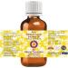 Deve Herbes Pure Hibiscus Carrier Oil 50ml - Natural Infused Hibiscus Oil for Skin & Hair - Buy Online on GoSupps.com