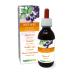 Blackcurrant (Ribes nigrum) Gemmo-derived alcohol-free from fresh buds Naturalma - Liquid extract drops 120 ml - Dietary supplement - Vegan or vegan