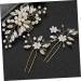 minkissy 2 Sets Hairpin Decorative Hair Combs Pearl Hair Combs Decorative Headpiece Bridal Hair Combs Hair Accessories for Girls Braids Accessories Pearl Headpieces Wedding Zinc Alloy Bride - Buy Online on GoSupps.com