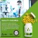 ATP LAB - Gluco Control 90 Capsules - Digestive Health - Kidney Stone Relief - Immune System Booster for Adults - Blood Glucose Pills & Blood Lipids - Buy Online on GoSupps.com