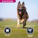 Eukanuba Dog Dry Food German Shepherd Chicken 12 kg - Buy Online on GoSupps.com