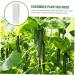 Toddmomy Garden Fruit Mould 6 Pcs Vegetable Shaping Mold Fruit Vegetable Mold Vegetable Shaped Mold Planting Supplies Modeling - Buy Online on GoSupps.com