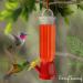Set of 4 Mini Hummingbird Feeders with Hanging Wires Transparent Feeders for Humming Birds - Buy Online on GoSupps.com