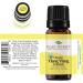 Buy Plant Therapy Ylang Ylang Essential Oil - 100% Pure Organic Aromatherapy 10 mL - International Shipping Available - Buy Online on GoSupps.com