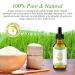 Rice Essential Oil for Hair Growth - 100% Pure Natural Serum for Thin, Damaged Hair - Men & Women - All Hair Types - Buy Online on GoSupps.com