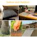 Cat Repellent Outdoor Cat Scat Mat 6 Pcs Cat Repellent Mat with Plastic Spikes for Garden Fence Anti-Cats Network Bird Squirrel Raccoon Spikes - Buy Online on GoSupps.com