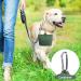 Silicone Dog Treat Pouch for Training & Walking | Portable Magnetic Closure & Waist Clip | Durable & Green with Carabiner - Buy Online on GoSupps.com