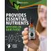 Fulvic Acid Minerals 30ml Bottle - Premium 40 Million Years Old Detox Antioxidant Liquid - 33 Organic Amino Acids - GMO & Chemicals Free - Naturesupplies 30ml - Buy Online on GoSupps.com