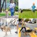 COMSLE Long Leads for Dog Training | 3m/10ft Strong Nylon Dog Leash with Handle | Ideal for Pet Recall, Training, and Outdoor Activities | Black - Buy Online on GoSupps.com