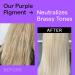 Purple Shampoo Toner for Blonde Hair - Neutralize Brassiness, Enhance Color, Nourish Scalp - Vegan & Sulfate Free - Buy Online on GoSupps.com