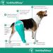 After Surgery Wear: Large Petrol Hip & Thigh Protective Cover for Dogs - Veterinarian Recommended Recovery Cuff - Buy Online on GoSupps.com