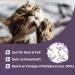 MEDICAT Premium Salmon Oil for Cats 250 ml | Omega-3 Skin & Coat Care | Ship Worldwide - Buy Online on GoSupps.com