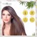 FERMOSA Shampoo - Clarifying Nourishing & Hydrating 16.9oz | Anti-Dandruff Reduces Itchy Scalp & Frizz Sulfate Free - Apple Cider Scent - Buy Online on GoSupps.com
