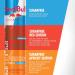 Red Bull Energy Drink Watermelon Sugarfree 250ml (24pk) 250ml (Pack of 4) - Buy Online on GoSupps.com