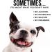 Natural Rapport Cat and Dog Tear Stain Remover The Only Eye Tear Stain Remover Dogs Need Gentle Yet Powerful Natural Tear Stain Remover For Dogs Eyes (237 ml) 237 ml (Pack of 1) - Buy Online on GoSupps.com