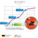 Bodify EMS Training Device - Targeted Belly Muscle Stimulation & Abdominal Trainer for Men & Women - Original Muscle Building Device - Buy Online on GoSupps.com
