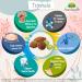 Organic Triphala Juice 500ml - Ayurvedic Digestive Supplement - Buy Online on GoSupps.com