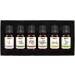 Brubaker 6-Set Essential Oils - Aromatherapy Oils (Patchouli Sage Ylang-Ylang Cardamom Argan Tea Tree) for Diffusers & Body Care - 10 ml Each - Buy Online on GoSupps.com