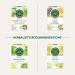 Traditional Medicinals - Organic Mother's Milk Lactation Herbal Tea (Pack of 6) - Supports Breast Milk Production For Nursing Mothers - 96 Tea Bags Total 16 Count (Pack of 6) Mother's Milk Herbal Tea - Buy Online on GoSupps.com