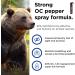 Guard Alaska Bear Spray with Nylon Holster - 1 Best Bear Repellent - Buy Online on GoSupps.com