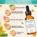 Shop SkinVitalize CE Ferulux Vitamin C Serum - 30ml | Anti-Aging Dark Spot Correction & Even Skin Tone | Advanced Skin Care Formula - Buy Online on GoSupps.com