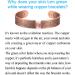 MagEnergy Men's Copper Life of Tree Magnetic Therapy Bracelet - Viking Jewelry 7.5in Adjustable - Buy Online on GoSupps.com