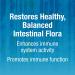 Natural Factors Ultimate Probiotic Critical Care 55 Billion CFU - 30 Veg Capsules - Buy Online on GoSupps.com