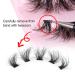 Zegaine 5 Pairs MISCHA-2 18mm Cluster Wispy False Mink Lashes Pack - 60 Pack - Buy Online on GoSupps.com