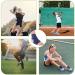 Ankle Support for Kids & Teens - Ankle Brace Wrap for Sprained Ankle & Strains Adjustable Injury Recovery & Compression Fit - Gymnastics/Football/Hocky/Running Fits Adult Size 4 to 9 - Buy Online on GoSupps.com