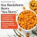Buy Sibu Beauty Sea Berry Therapy Omega-7 Sea Buckthorn Oil - 180 Softgels for Wellness - Buy Online on GoSupps.com