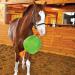 Signature Horsemen's Pride 14-Inch Horse Jolly Tug Blue one size - Buy Online on GoSupps.com