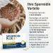 Spermidine Capsules with Wheat Germ Extract L-Arginine & Bifidobacteria Boost Your Body's Spermidine Synthesis Monthly Pack of 60 - Buy Online on GoSupps.com