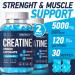 5000mg Creatine Monohydrate Gummies - Ultimate Muscle Builder & Energy Booster for Men & Women (2 Pack - Buy Online on GoSupps.com