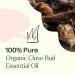 Buy Organic Clove Bud Essential Oil - 100% Pure USDA Certified Therapeutic Grade | Plant Therapy 30 mL (1 oz) - International Shipping Available - Buy Online on GoSupps.com