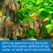 API pH Test & Adjuster Kit | 250-Test Freshwater Aquarium Water pH Tester (29A) - Buy Online on GoSupps.com