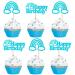 Ercadio 24 Pack Boho Rainbow Happy Birthday Cupcake Toppers Blue Boho Rainbow Cupcake Picks Boho Cake Toppers for Boho Rainbow Theme Birthday Baby Shower Party Decor Supplies A-hp Blue