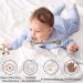 Cometrade Bite Ring for Babies | LFGB Silicone Kauringe & Natural Wooden Ring | Pacifier & Clip Set | Gummy Relief for Newborns & 3+ Months (Beige) - Buy Online on GoSupps.com