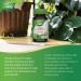Nature's Way Zinc with Echinacea & Vitamin C / 60 Lozenges Beige 60 count (Pack of 1) - Buy Online on GoSupps.com