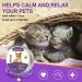 4 Pcs Lavender Scent Calming Cat Collar Set | Adjustable & Relaxing for Cats and Puppies | Reduce Stress & Anxiety | Up to 15 Inches | Purple & Gold - Buy Online on GoSupps.com