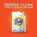 Tide Free & Gentle Liquid Laundry Detergent - 93 Loads, 45 fl oz (Pack of 3) - Buy Online on GoSupps.com