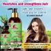 Rosemary Mint Hair Shampoo & Serum Set | All Hair Types | Nourishing Rosemary Oil for Men & Women - Buy Online on GoSupps.com