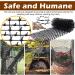 Cat Scat Spike Mat - ELEFOCUS 6.5ft Pet Deterrent Spikes Scat Mat with Garden Staples & Zip Ties for Garden Fence Indoor Furniture 78"x11" Black  - Buy Online on GoSupps.com