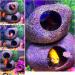 Stackable Aquarium Rock Caves - Ideal Hideaway for Shrimp, Cichlid, and Territorial Fish - Natural Decor for Breeding and Spawning (2 Pieces) - Buy Online on GoSupps.com