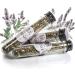 ne & no Gift Set with Natural Catnip | 3-Series Airtight Pack | Perfect Cat Toys Scratch Mats & Trees | Dried Cat Grass & Mint - Buy Online on GoSupps.com