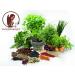 Curry Red Hot Curry Masala Spice Mix - Spicy & Felted Spice Mix - 25g Box - Buy Online on GoSupps.com