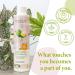 Jean & Len Nutri Care Conditioner - Mango & Avocado for Damaged Hair | Vegan Paraben & Silicone-Free 300ml - Buy Online on GoSupps.com